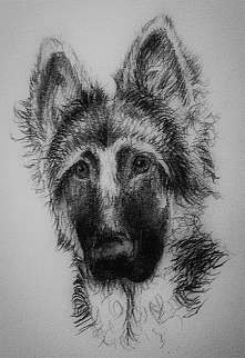 Portret mojej psiny :3