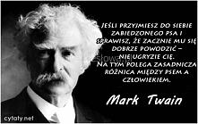 Jeśli przyjmiesz do siebie zabiedzonego psa i sprawisz, że zacznie mu się dobrze powodzić...