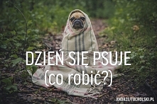 Uratuj swój dzień :)