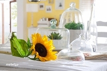 Meble z drewna OTELLO - pię...