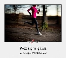 Dzień 8
Dieta i godzinka biegania