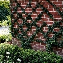 super pomysł wypróbuje na pewno