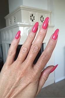 hybryda w kolorze "fly...