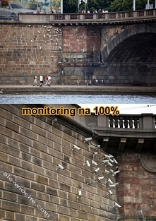 monitoring