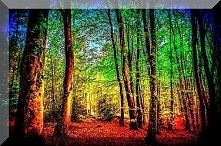 Sprawdź co oznacza Twoja data urodzenia! Urodzeni 13 listopada.