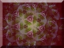 Sprawdź co oznacza Twoja data urodzenia! Urodzeni 17 listopada.