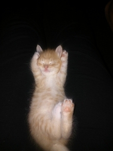 moj maly slodziaczek *-*