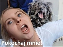 Pokochaj mnie! | Muszusia