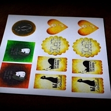 zestaw naklejek - kittens