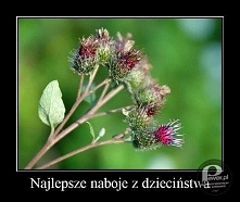 oj to były czasy beztroskie...