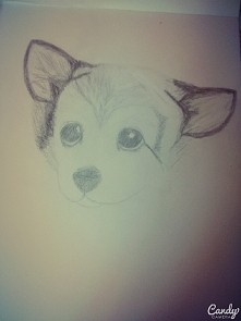 Rysunek mojej koleżanki 