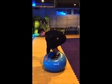 Stanie na piłce treningowej - Wyzwanie 4 - Fiteria.pl