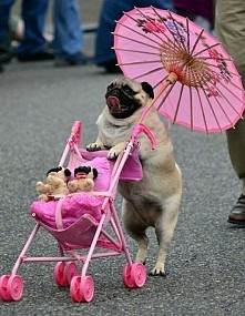 najpiękniejsza rzecz jaką dzisiaj widziałam ♥