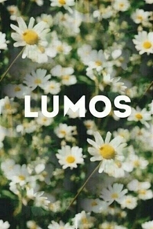 lumos!