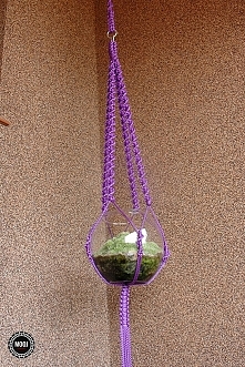 Jak zrobić nowoczesny, makramowy kwietnik? Więcej na blogu moojconcept .com