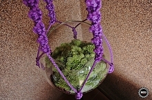 Jak zrobić nowoczesny, makramowy kwietnik? Więcej na blogu moojconcept .com