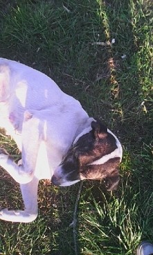 Spacerek z moją Kochaną <3