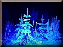 Sprawdź co oznacza Twoja data urodzenia! Urodzeni 10 stycznia.