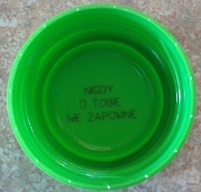 Nigdy O Tobie Nie Zapomnę