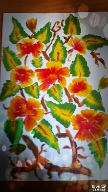 Kwiaty, Mego wykonania ☺☻♥