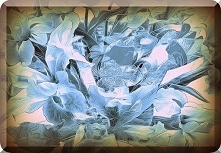 Sprawdź co oznacza Twoja data urodzenia! Urodzeni 16 stycznia.