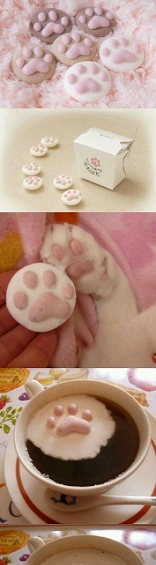 piankowa kocia lapka