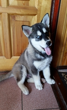 słodkości kochane <3 ❤
❤...