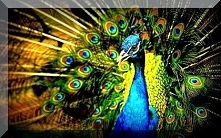 Sprawdź co oznacza Twoja data urodzenia! Urodzeni 03 lutego.