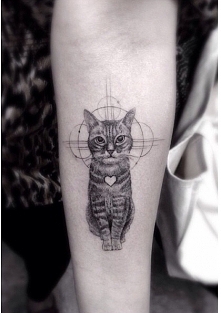 cat