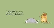 Smutny kot ;)