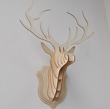 Po kliknięciu na zdjęcie pr...