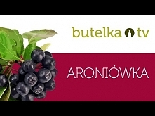 Aroniówka - szybki i prosty przepis na zdrowotną nalewkę