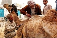 Sztuka jest wszędzie ♡!