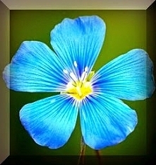 Sprawdź co oznacza Twoja data urodzenia! Urodzeni 24 kwietnia.