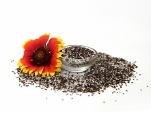 Błonnik oczyszczający w swoim składzie posiada 80% babki płesznik oraz 20% babki jajowatej. Odgrywa olbrzymią rolę w diecie:

- wspomaga proces przemiany materii;
- oczyszcza or...