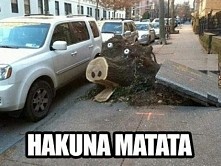 hakuna Matata! :D