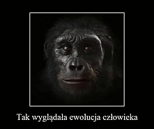 Ewolucja Człowieka <-- p...