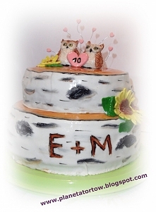 Moje hobby, moja pasja - torty :)