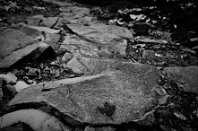 piękno tkwi w szczegółach a...