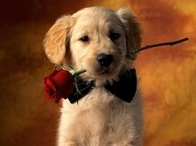 .<3