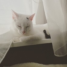 Jestem Carmen, mam 2 latka....