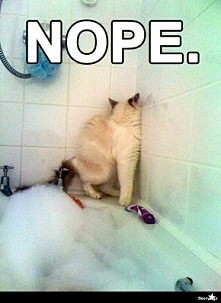 Nope