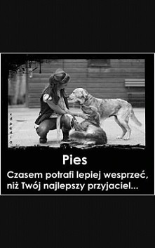 Moim najlepszym przyjacielem jest właśnie piesek