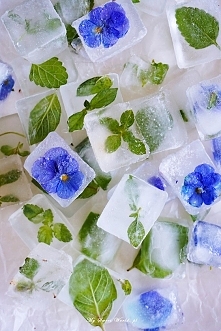 Ziołowe kostki lodu <3