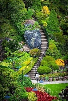 Awesome garden!