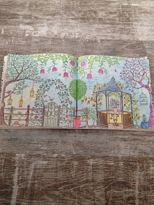 Tajemny ogród Johanna Basford