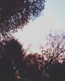 "Rozmyślanie o śmierci jest rozmyślaniem o wolności"