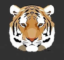 Tiger. Sama zrobilam.
Znajd...