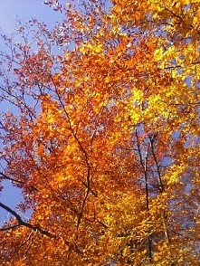 górska jesień jest piękna ♡...