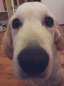 Witaj;* mam już 5mcy;)